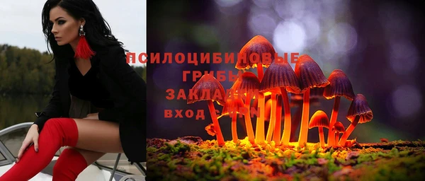 круглые Аркадак