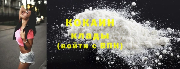 PSILOCYBIN Армянск