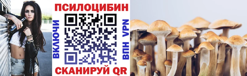 Галлюциногенные грибы MAGIC MUSHROOMS  omg зеркало  Белогорск 